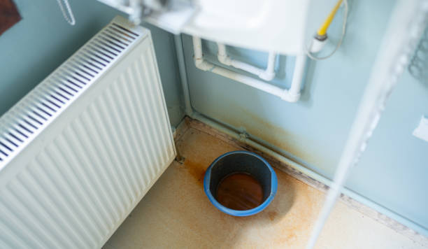 Best Mold removal after water damage  in Walls, MS